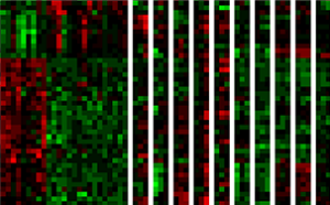 A toxicogenomics approach to assess MOA using next-generation sequencing